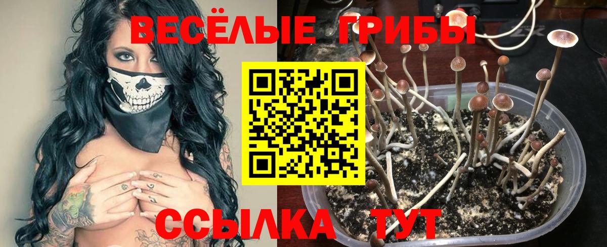 Псилоцибиновые грибы ЛСД  Вход с VPN  Мирный 